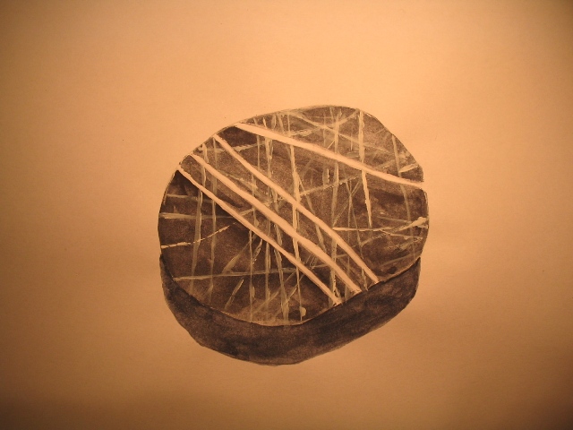 Disegno naturalistico 2Lezione